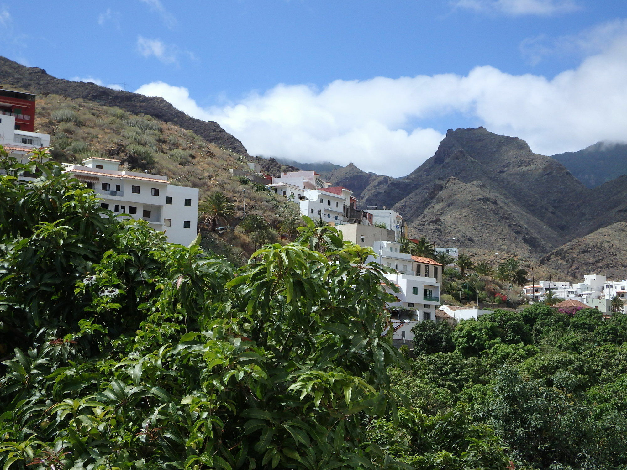 La Casa De Magda Villa Santa Cruz de Tenerife Buitenkant foto